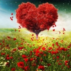 🥰 Share the Love 🎁